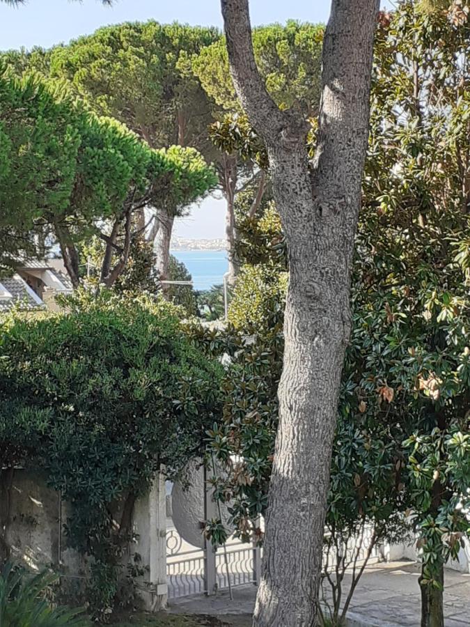 פורמיה La Bouganville מראה חיצוני תמונה